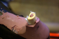 camper,カンペール,オールソール